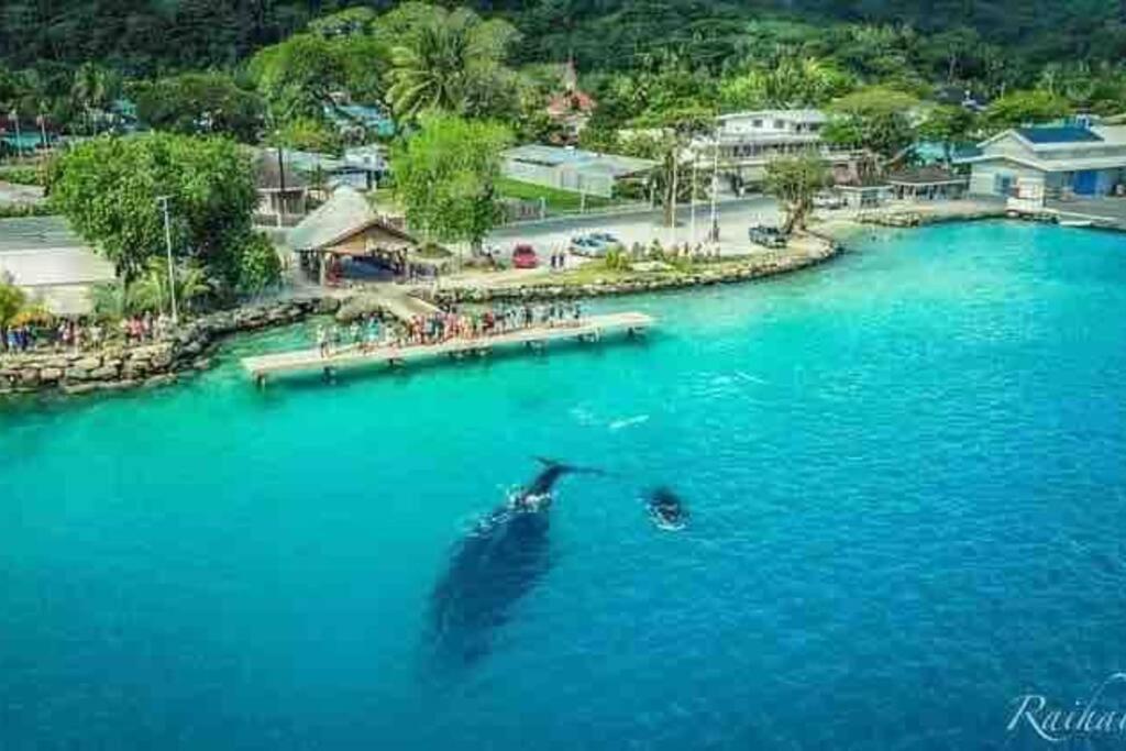Meri Lodge Huahine Fare Zewnętrze zdjęcie